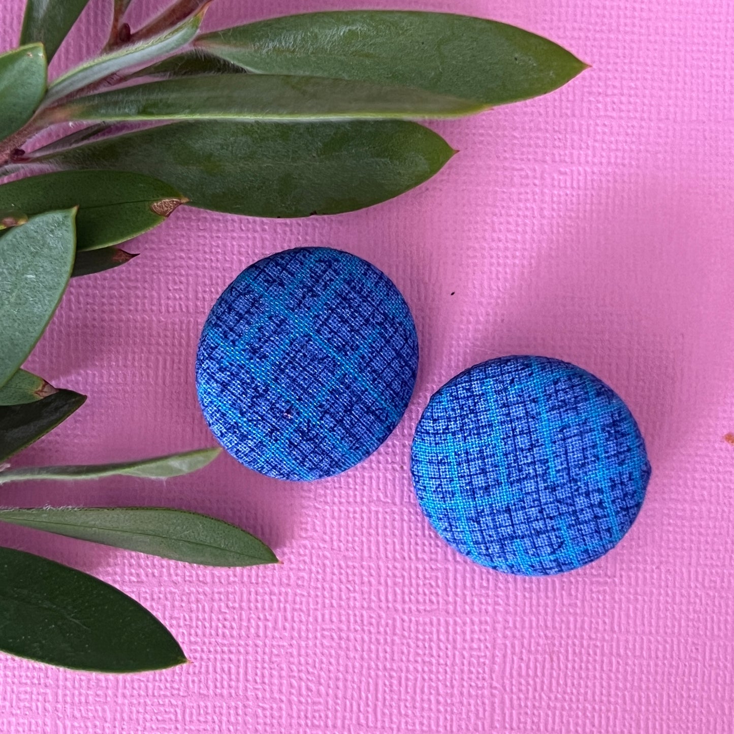 Two blue textured balls on a pink surface with green leaves.